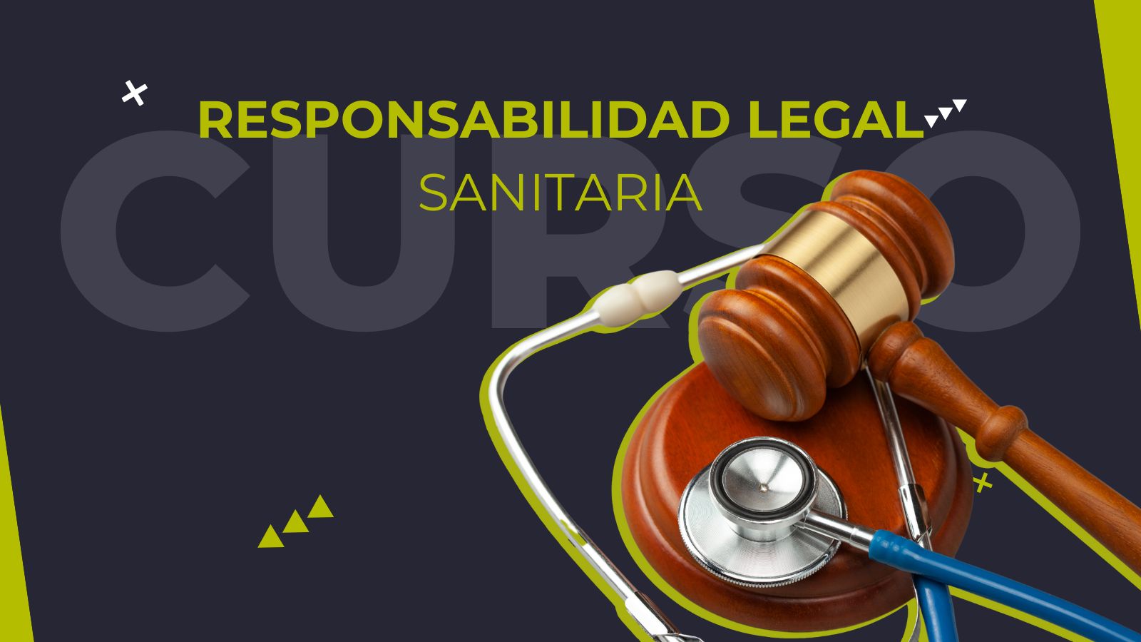 Curso Responsabilidad Legal Sanitaria: Negligencia Veterinaria y Reforma Ley Corta de Isapres