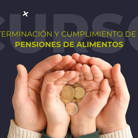 ¡Nuevo curso! Determinación y Cumplimiento de las Pensiones de Alimentos