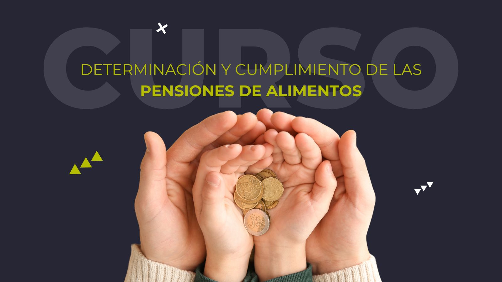 ¡Nuevo curso! Determinación y Cumplimiento de las Pensiones de Alimentos