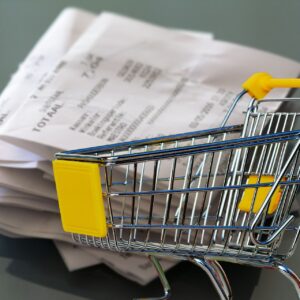 Curso e-learning | Determinación y cumplimiento de las pensiones de alimentos