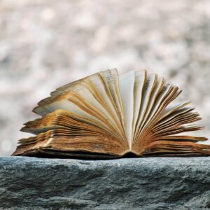 Seminario online Literatura jurídica: El lenguaje del derecho a través de la historia y la argumentación literata. (Parte 2)