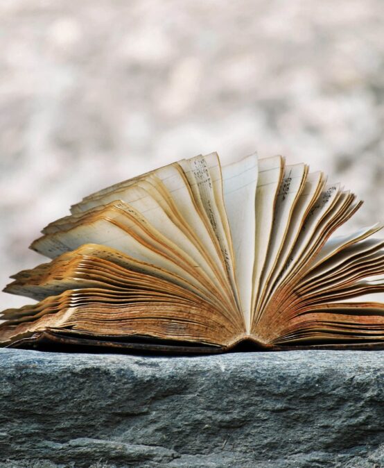 Seminario online Literatura jurídica: El lenguaje del derecho a través de la historia y la argumentación literata. (Parte 2)