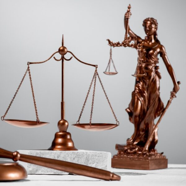 Curso e-learning | Litigio en derecho penal económico 1ª Edición