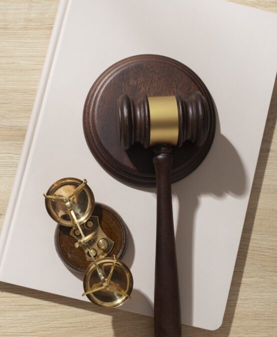 SEMINARIO VIRTUAL CONCEPTOS PROCESALES  BÁSICOS, HERRAMIENTAS PARA  ACCEDER A LA JUSTICIA EFECTIVA