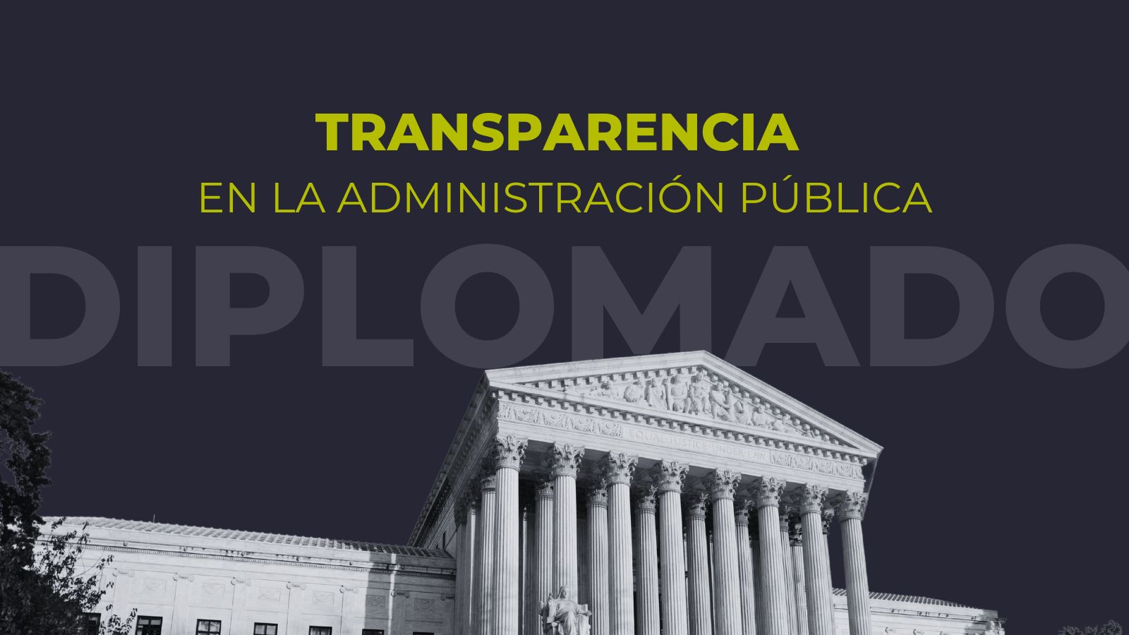 Diplomado en Transparencia en la Administración Pública