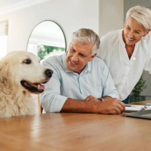 SEMINARIO REGIMEN JURIDICO DE LOS ANIMALES PERTENECIENTES A LA ESPECIE CANINA Y ASEGURAMIENTO OBLIGATORIO DE LA RESPONSABILIDAD CIVIL DERIVADA DE SU TITULARIDAD 2026