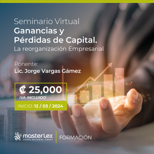 Seminario Virtual | Ganancias y Perdidas de Capital, La Organización Empresarial.