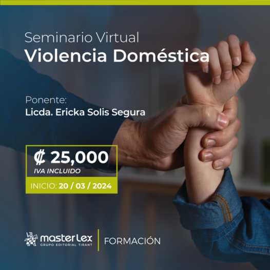 Seminario Virtual | Violencia Domestica.