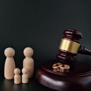 Seminario Online Medios de Defensa para Juicios Familiares