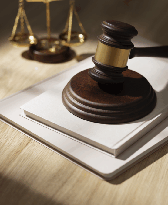 Curso E-Learning Autoría y Participación: Casos Complejos y Criminalidad Estructural