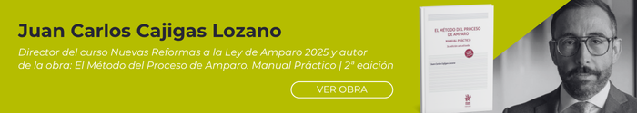 Director del curso Nuevas Reformas a la Ley de Amparo 2025 y autor de la obra El método del proceso de amparo. Manual Práctico 2ª edición actualizada 