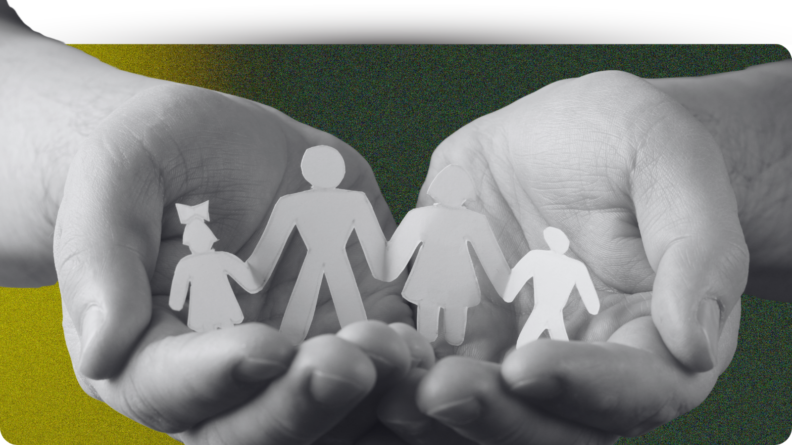 Taller práctico El juicio de los alimentos