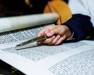 Seminario Online Guía Práctica de Redacción de Sentencias