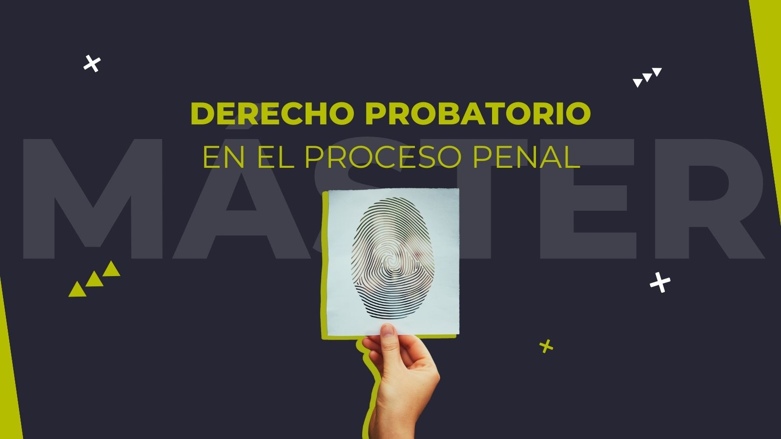 ✅ Máster en Derecho Probatorio en el Proceso Penal (4ª edición)