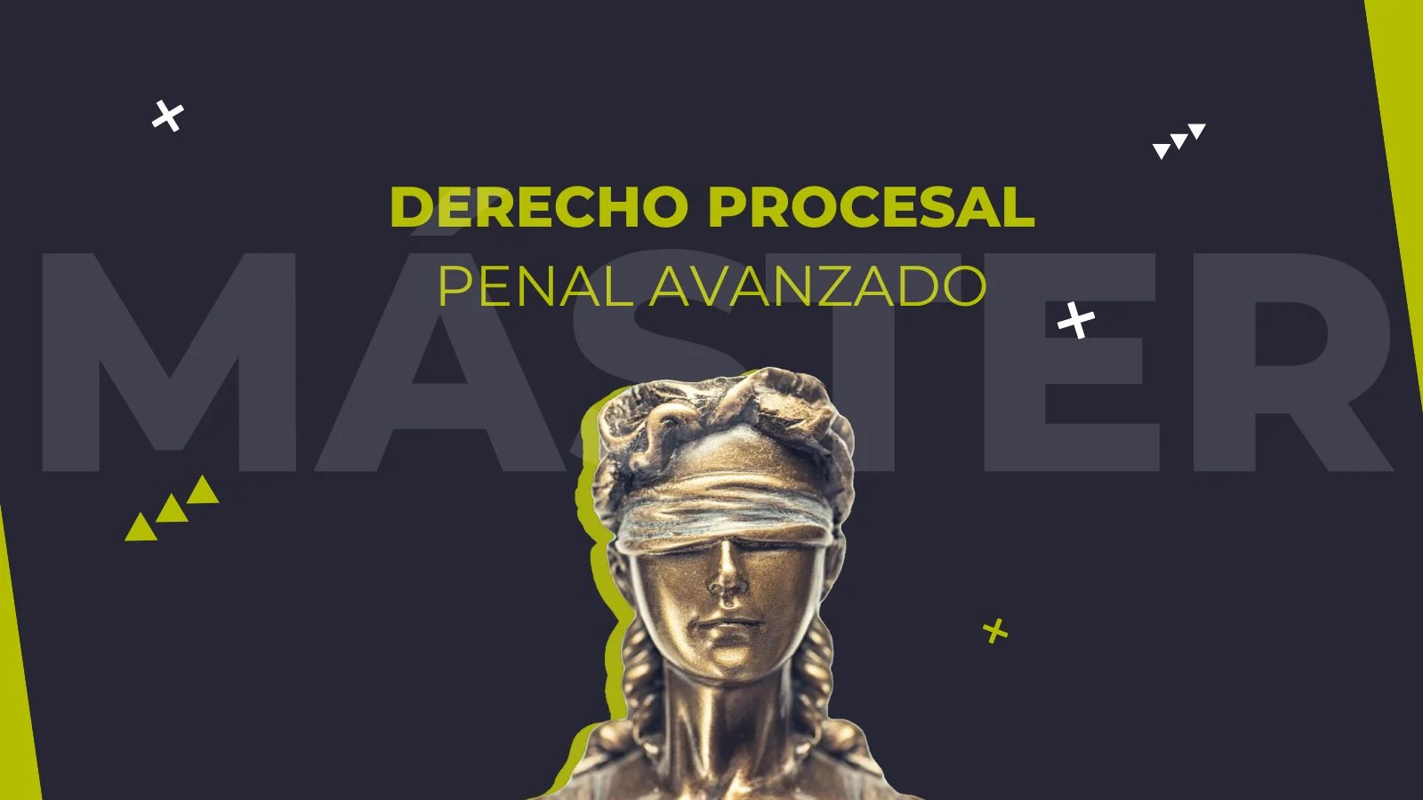 Derecho-Procesal-PENAL-AVANZADO-1 Máster en Derecho Procesal Penal Avanzado